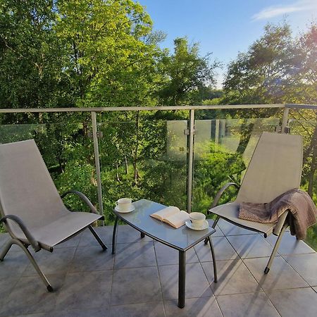 Zachodnia Polanka - Apartament Z Sauna I Silownia コウォブジェク エクステリア 写真