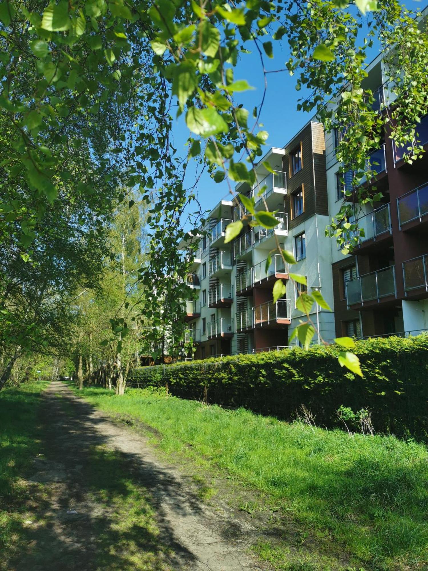 Zachodnia Polanka - Apartament Z Sauna I Silownia コウォブジェク エクステリア 写真